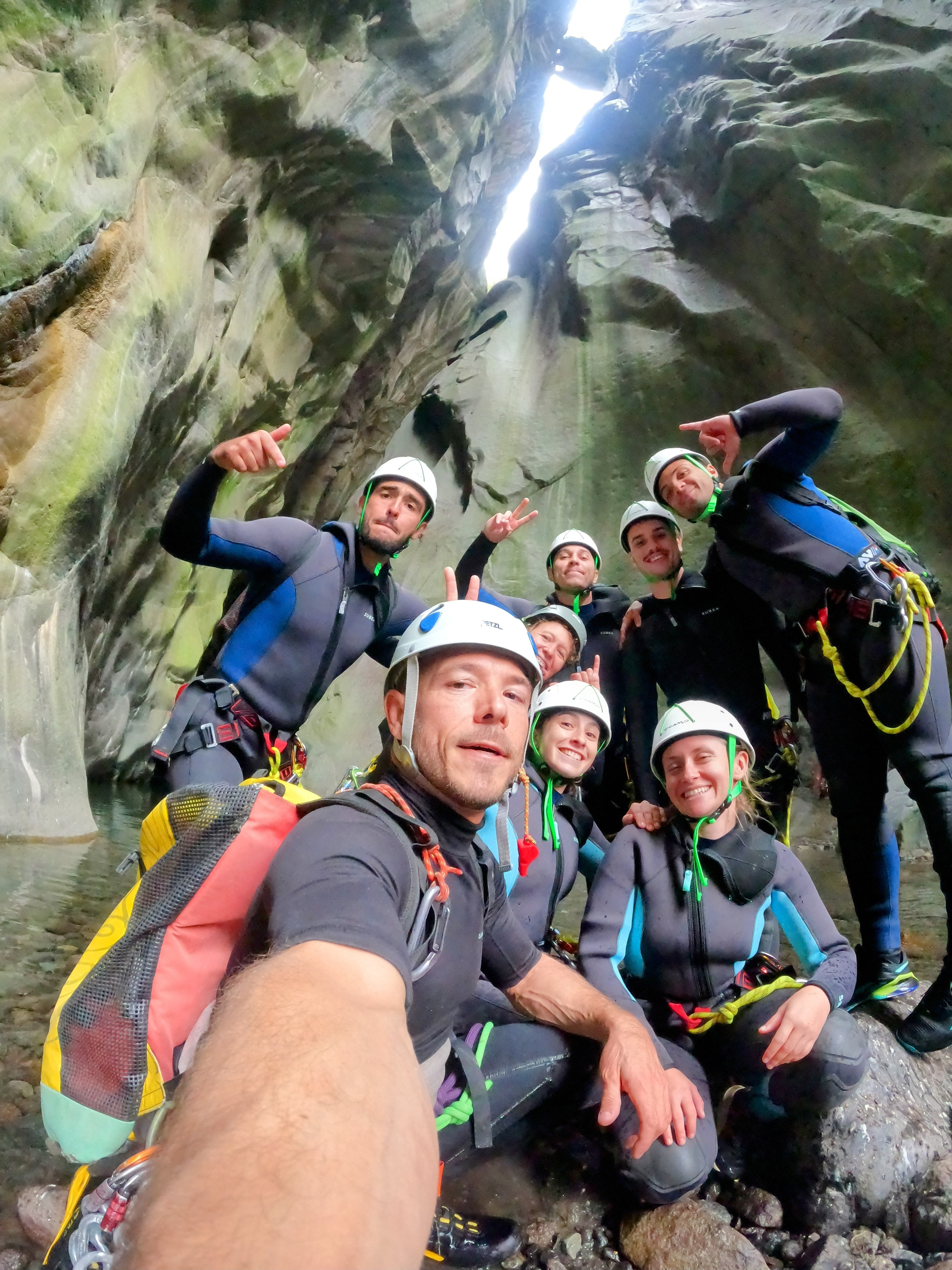 Le grand fleur jaune integral