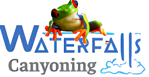 Logo Waterfalls